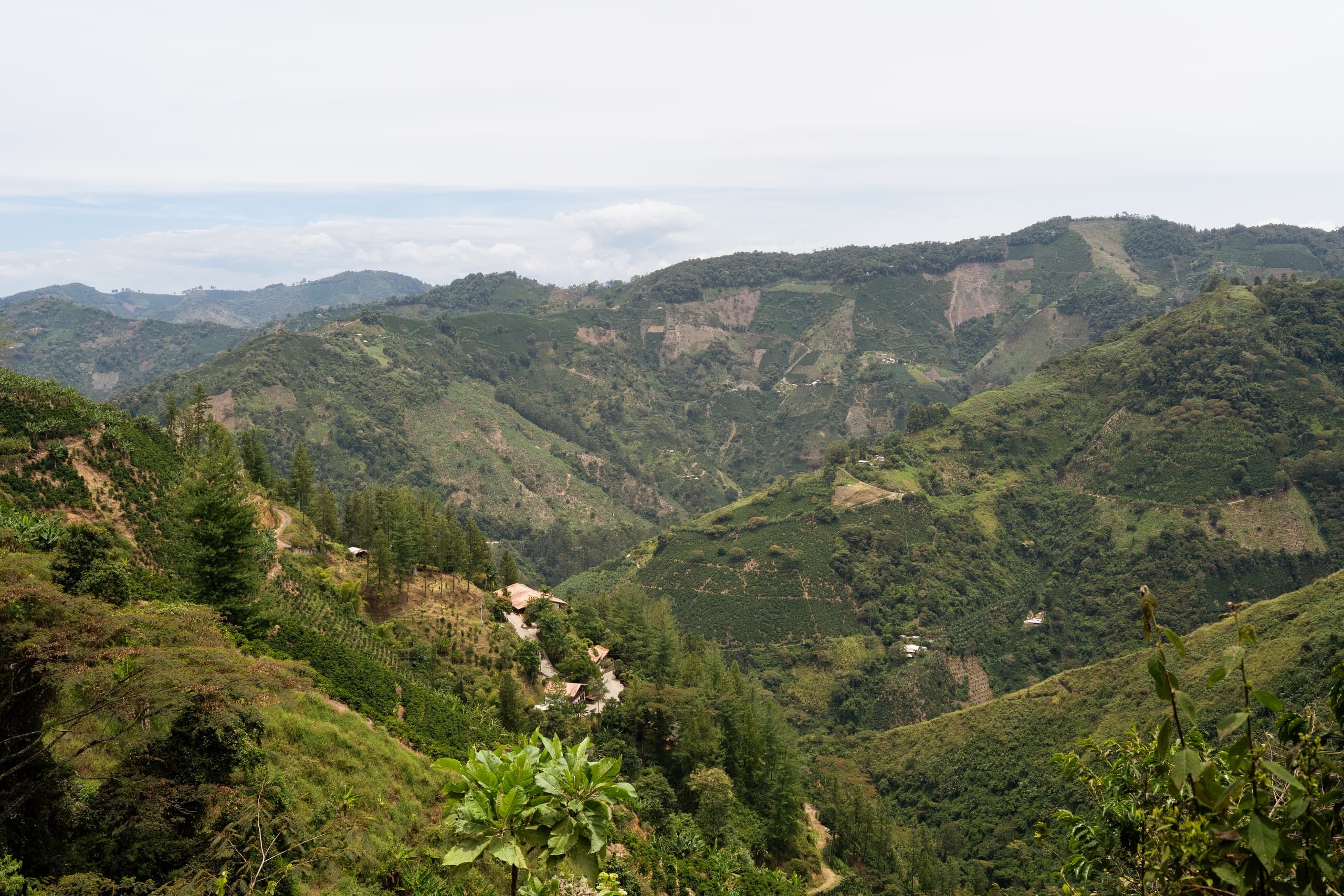 Cordillera cafetera con laderas cultivadas y casas dispersas bajo un cielo nublado