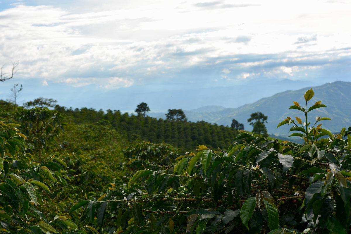 Colombia