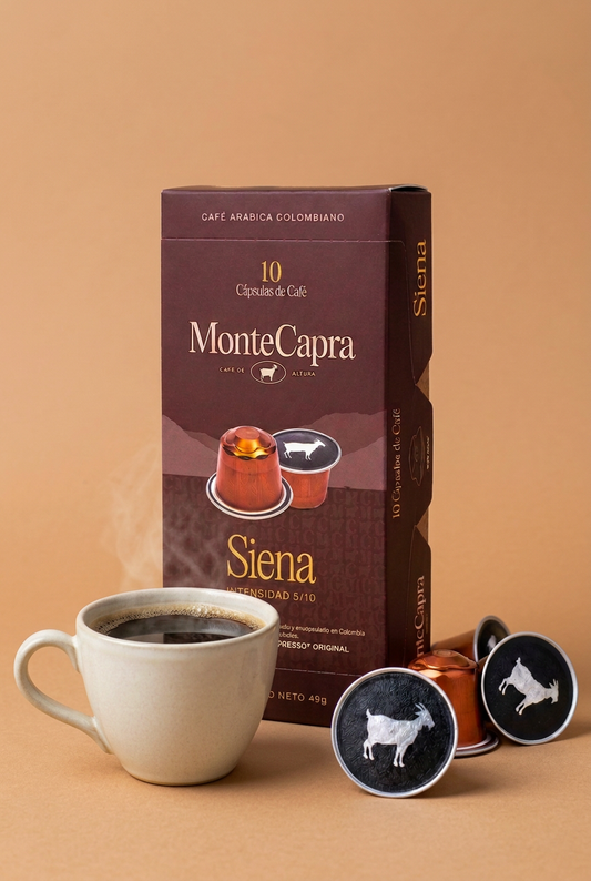 Cápsula y taza con fondo avellana