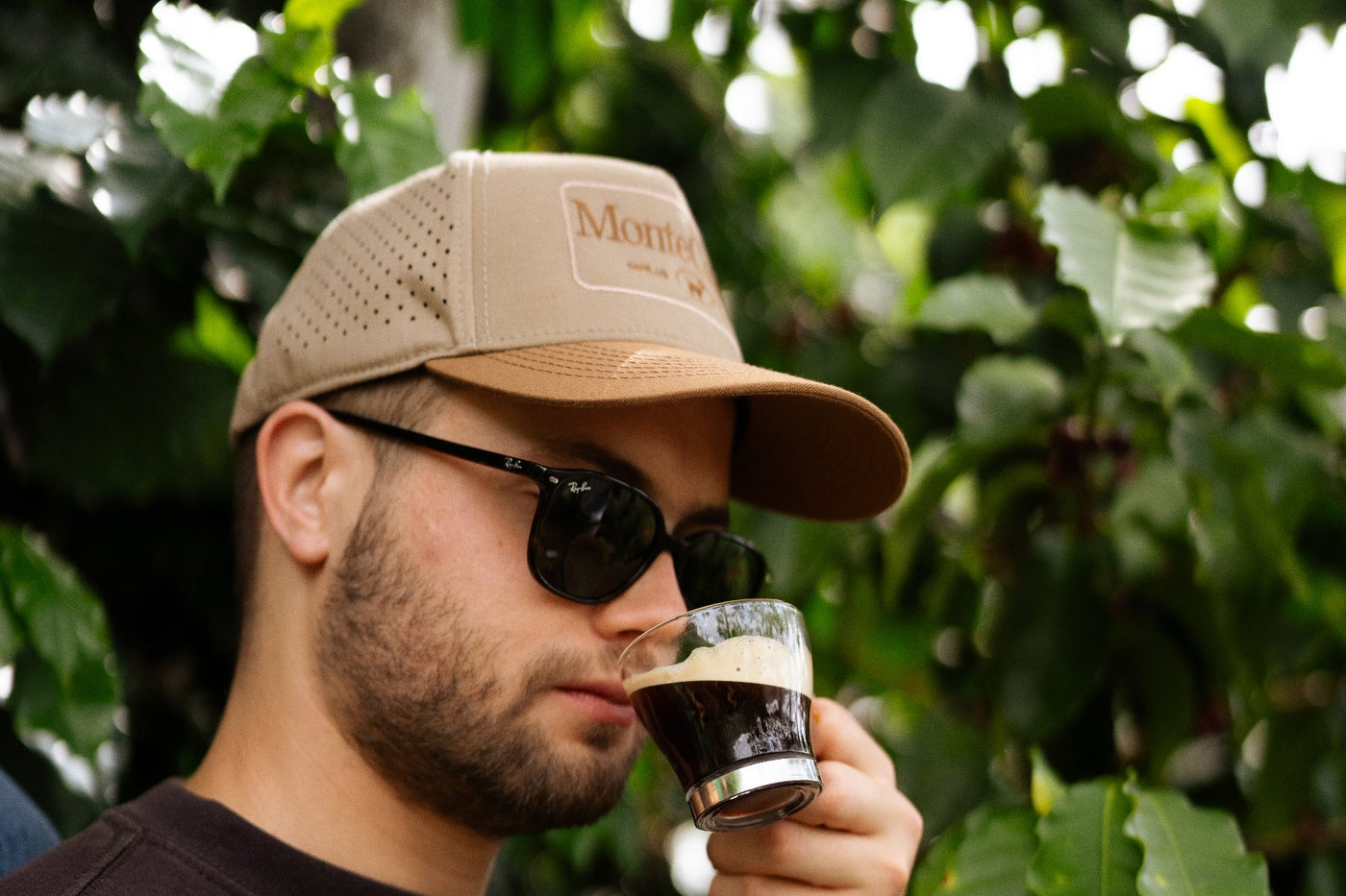 Hombre probando café entre plantas de café