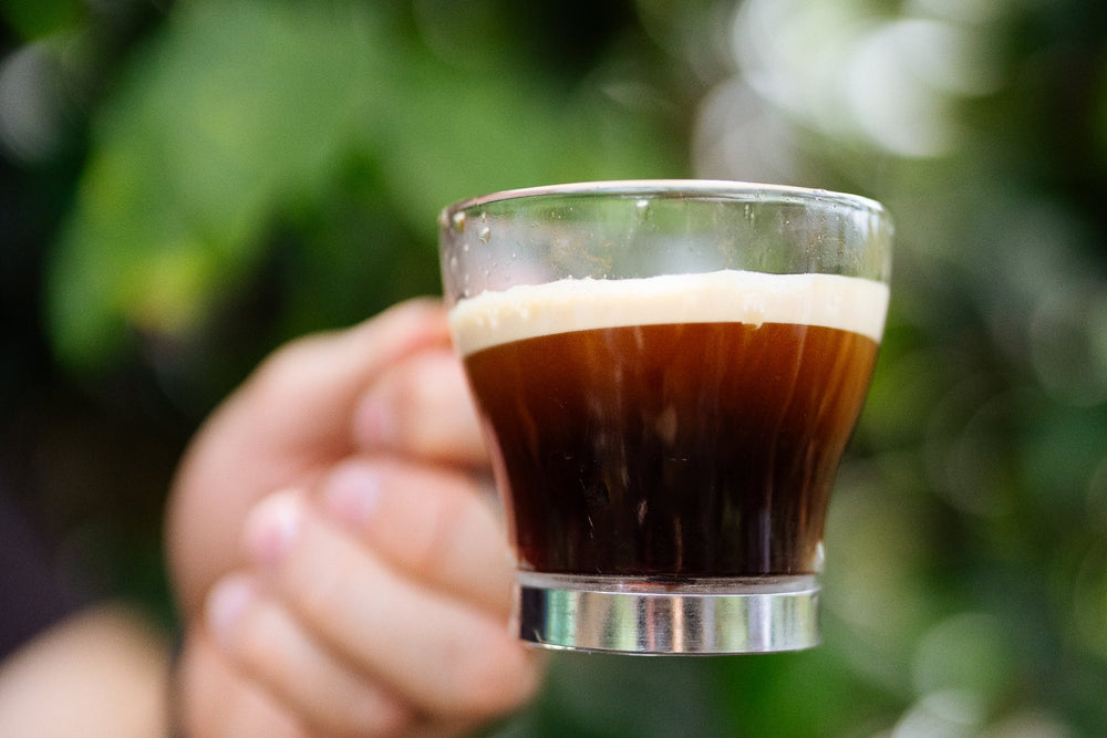 Mano sosteniendo una taza de espresso en el cafetal